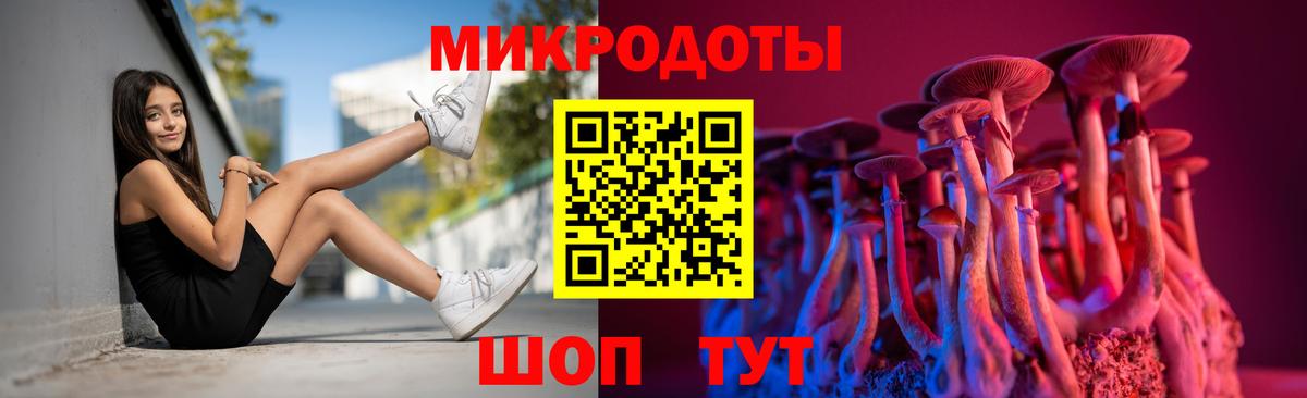 Псилоцибиновые грибы Psilocybine cubensis  Вход с VPN  Новоуральск 